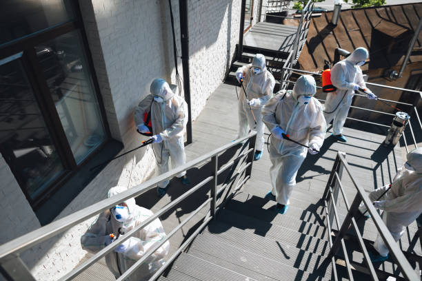 Best Industrial Mold Remediation  in Yaeyville, NC