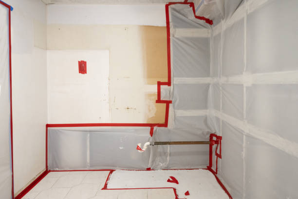 Professional Mold Removal in Yanceyville, NC