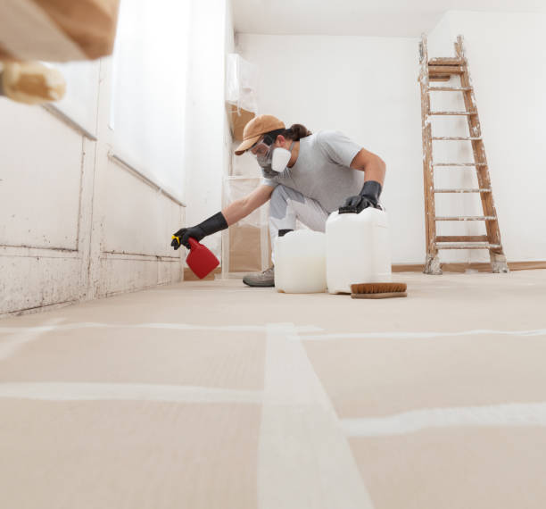 Best Water Damage & Mold Remediation  in Yaeyville, NC